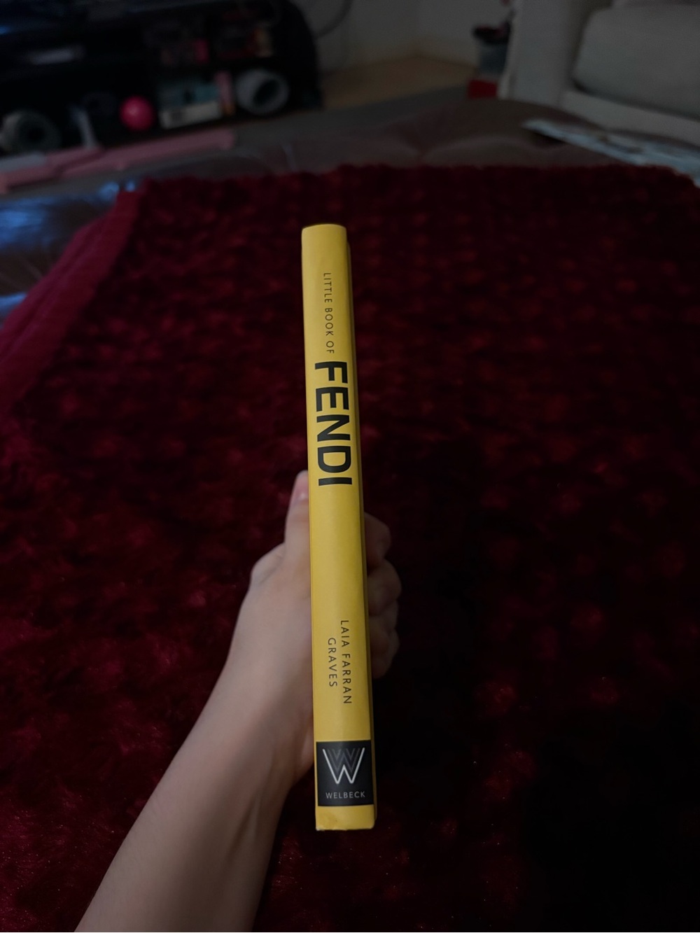 Little Book of FENDI - Picture 3 of 3